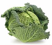 Cabbage Calories