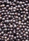 Acai Berry is on The Fat Burning Foods List