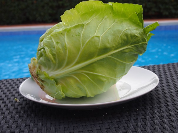 Pointed or Sweetheart Cabbage Calories