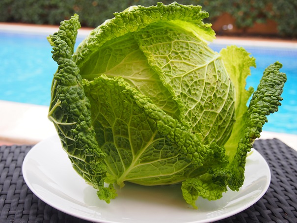 Savoy Cabbage Calories