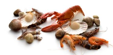 Calories in Seafood