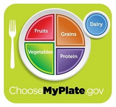 Balanced Healthy Diet, Balanced Plate, Healthy Plate, Healthy Eating Plate