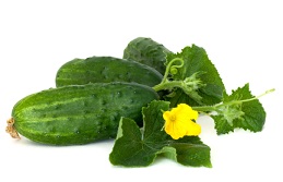 Calories in Cucumber
