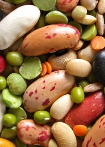 Fat Burning Foods: Legumes