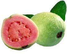 Guava Calories