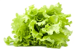 Lettuce Calories