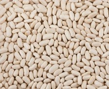 Calories in Navy Beans, Navy Beans Calories, Navy Beans Nutrition Facts