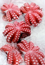 Calories in Octopus, Octopus Calories, Octopus Nutrition Facts