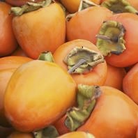 Persimmon Calories