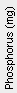 Phosphorus (mg)