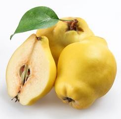 Quince Fruit Nutrition Facts, Health Benefits of Quinces