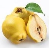 calories in quinces