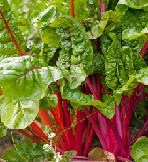 Calories in Swiss Chard