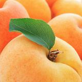 Calories in Apricots