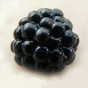 Health Benefits of Blackberries and Nutrition