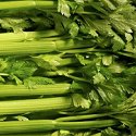 Celery Nutrition Facts 