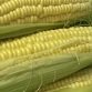 Vegan Protein Sources, Natural Protein Source, Natural Sources of Protein
