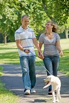 Get Paid to Lose Weight. Dog Walking is an Easy Exercise Routine, Which Can Help You to Lose Weight Fast Easy