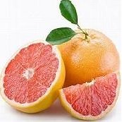 Grapefruit Diet Menu