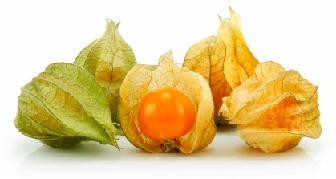 Ground Cherries Nutrition Facts, Health Benefits of Ground Cherries