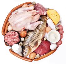 Low Fat High Protein Diet and Foods