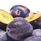 Calories in Plums and Prunes