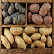Calories in Potatoes