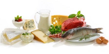 High Protein Foods, What Foods Contain Protein, Good Protein Source, Foods That Contain Protein