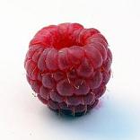 Calories in Raspberries