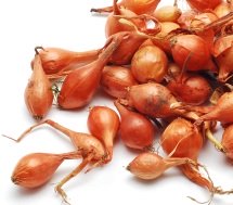 Calories in Shallots