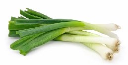 Spring Onion Calories