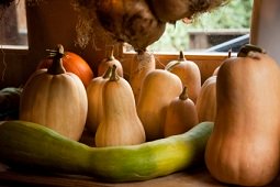 Calories in Squash, Summer Squash Calories, Winter Squash Calories