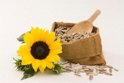 Calories in Sunflower Seeds and Nutrition Facts