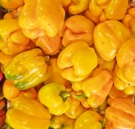 Calories in Yellow Peppers